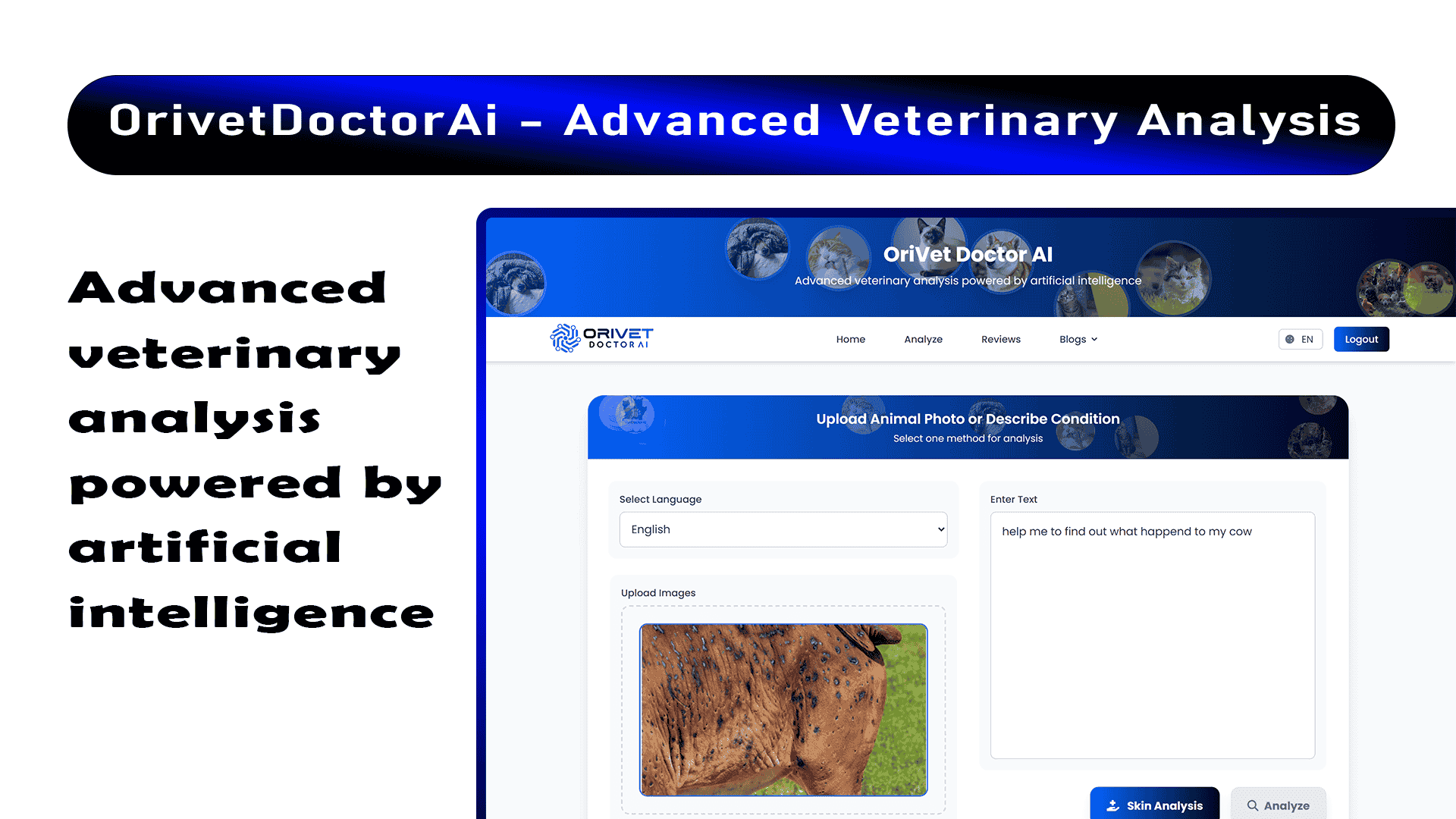 OrivetDoctorAi - Advanced Veterinary Analysis Laravel and Reactjs Script