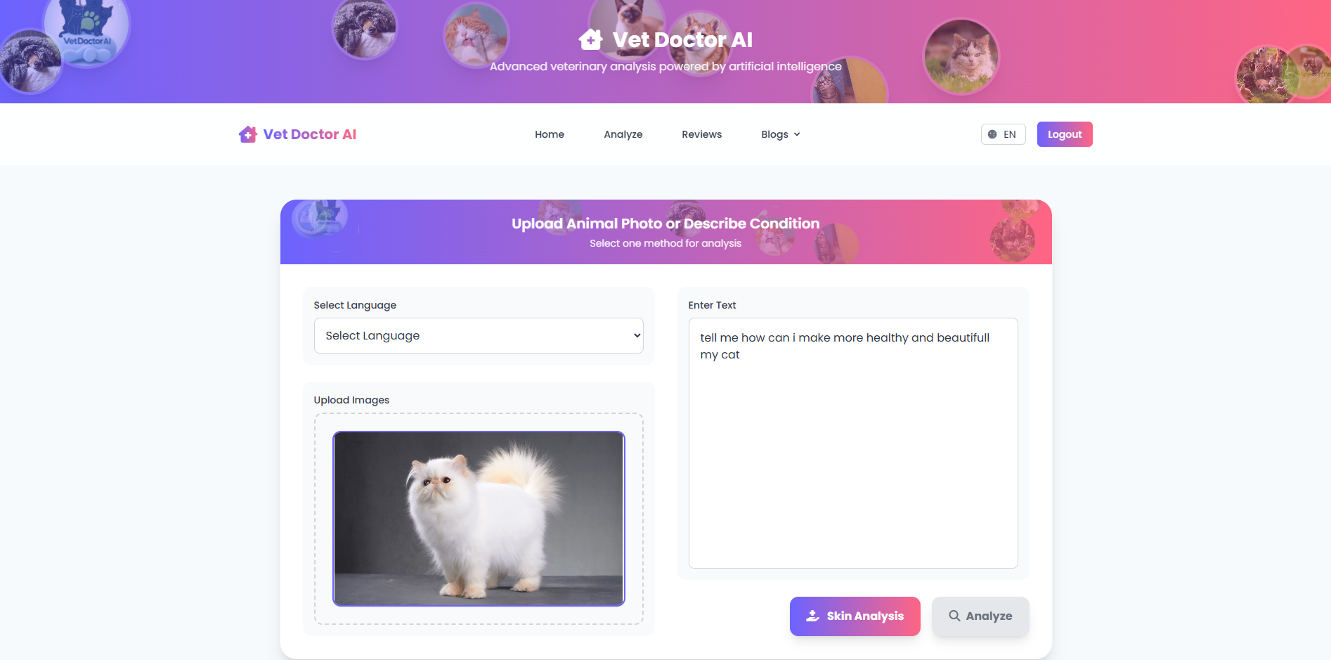 Vet Doctor Ai